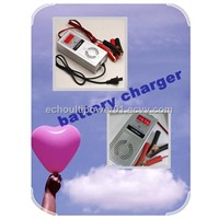 Universal Car Charger 12Volt