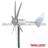 WS-WT 300W WELLSEE 6 leaves Wind Turbine/ A horizontal axis wind turbine