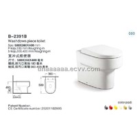 Washdown piece toilet--B-2391B