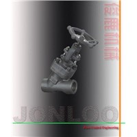 Y-Pattern Forged Steel Globe Valve