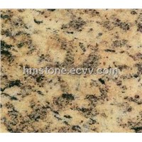 Yellow Tiger Skin Granite