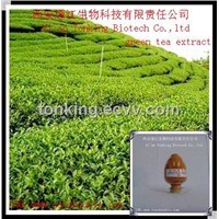 anti-aging of Green Tea Extract