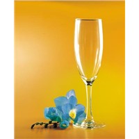 champagne glass,champagne flute,wine glass