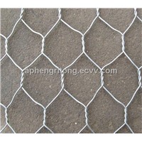 galvanized chicken wire mesh/netting