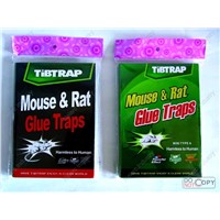 glue trap   HC2304