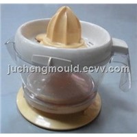 Juice Extractor Mould