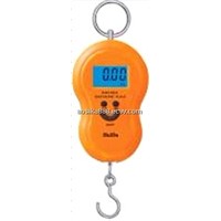 Portable Electric Scale