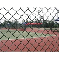 PVC Coated Chain Link Fence/Garden Fence/Sprot Fence
