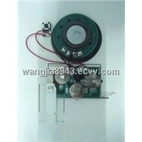 recordable greeting card sound module
