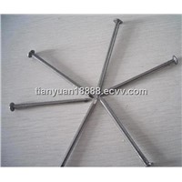 galvanized/ polished common wire nails/ wood nails