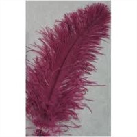 Natural Ostrich Feather