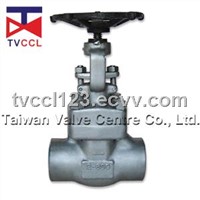 Forged Steel & Stainless Steel Gate Valve