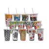 Double Wall Acrylic Tumbler (With Straws)