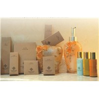 5star paper boxed hotel amenity set