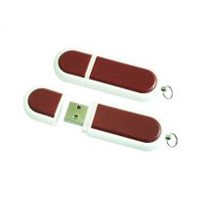Plastic USB with Your Logo as Promotional Gift