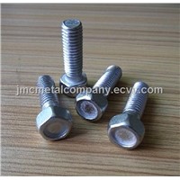 Carriage Bolt (M6-M20)/Stainless Steel Thread Rod/Nylon Anchor