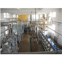 Cassava Starch Production Line for 120tons starch per day