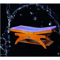 Electric Massage SPA Water Bed of SPA Product (09D10)
