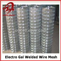 Electro Galvanized Welded Wire Mesh Supplier