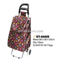 Folding shopping trolley &amp;amp; shopping cart bag