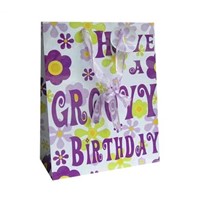 High quality paper gift bag with OEM logo printing