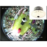 IP camera/fisheye camera