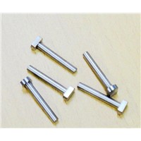 Investment Casting T bolts