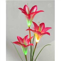 Lily solar light(HJZS006)