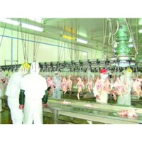 Livestock slaughter equipment-Carcass processing conveyor