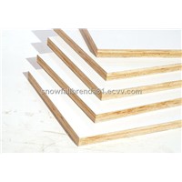 Plywood Sandwich Panel
