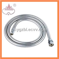 SS Single Buckle Chrome Plated Shower Hose