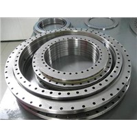 Supply rotary table bearing YRT100