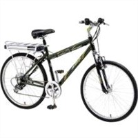 Electric Bikes: Currie eZip Eco Ride Electric Bike EZ-ECO-GR