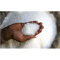 Icumsa 150 White Refined Sugar