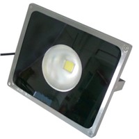 30W LED Projector Lamp/Commercial LED Lighting
