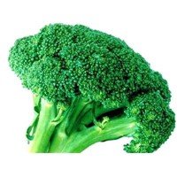 China Broccoli Extract