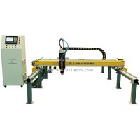 DSG Series Economic (Little Hasee) Gantry Cutting Machine Type 2000/3000