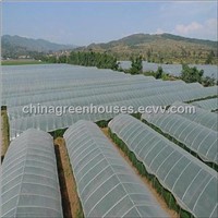 High Tunnel Insect Screen Houses from China
