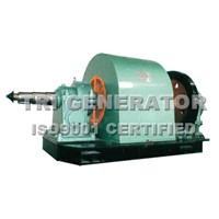 Hydro Brushless Generator - Horizontal Type