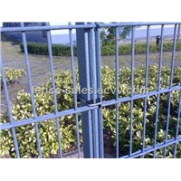 PVC Coated Double Wire Fence/ Twin Wire Fence/ 868 Fence