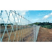 welded razor wire fence