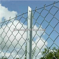 Galvanized Chain Link Fence with Competitive Prices