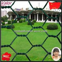High Quality Low Carbon Steel Wire Guarding Wire Mesh, Anpng Factory