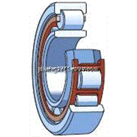 SKF cylindrical roller bearing NU 232 ECML