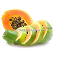 Supply Papain Powder