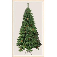 Common Christmas Tree (S640