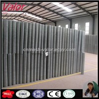 Galvanized Welded Wire Mesh (Direct Factory)