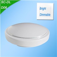 LED Bright Ceiling Light