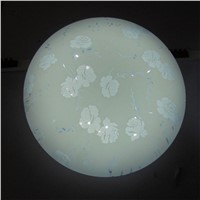 Manufacturer LED ceiling light surface mounted for bedroom living room 10W 15W 20W SMD5730