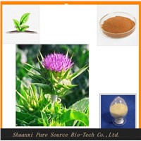 Milk Thistle Extract for liver protection